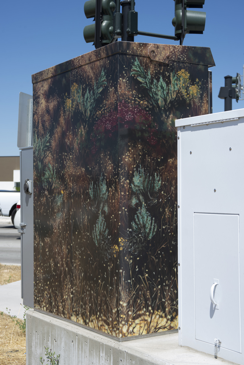 6a55b0f6-0500-41ce-9248