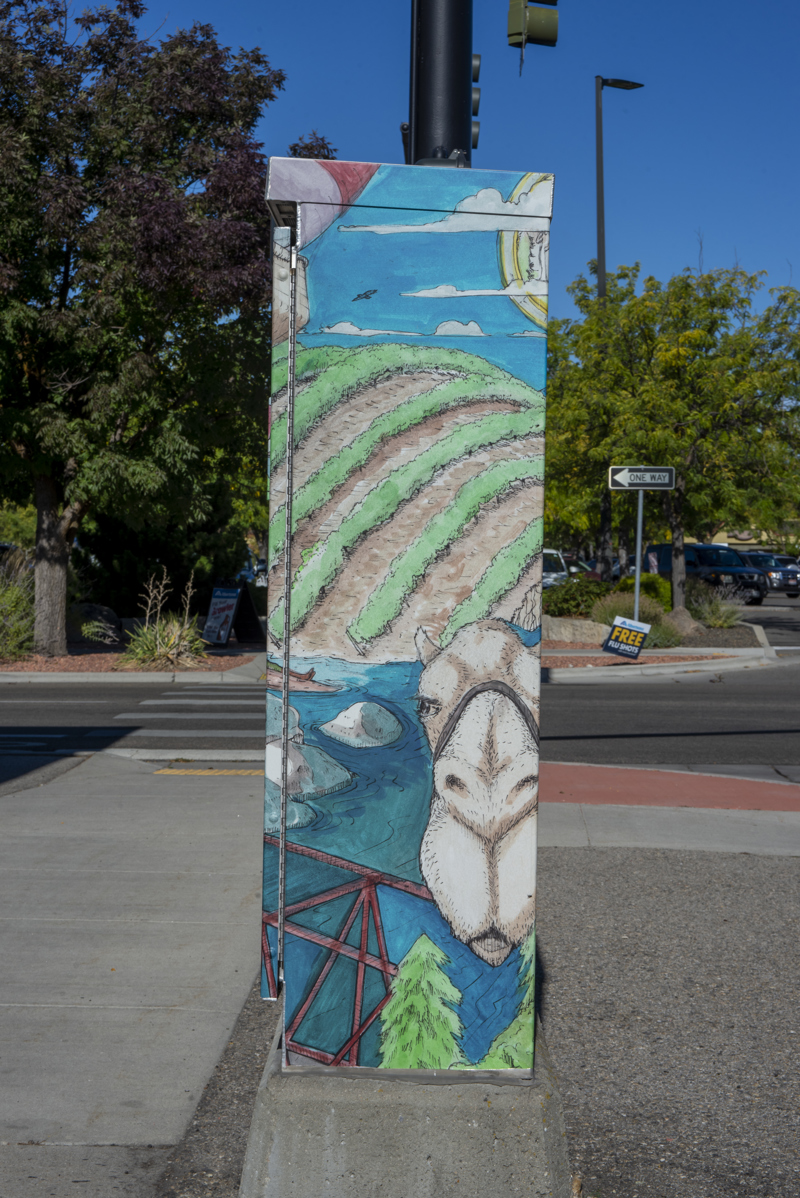 9e1dd033-c9b9-43d4-b8b8