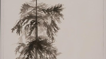 In the Forest 2 by Cate Brigden