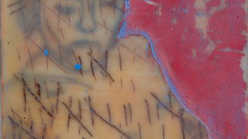 The Good Wife (4) by Eve Marie Bergren