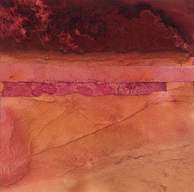 8 Metamorphic Metaphor by Pam Demo