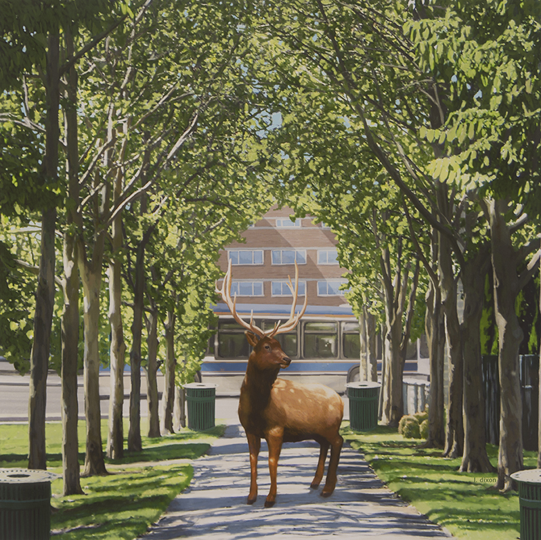 Park Elk by Leslie Dixon
