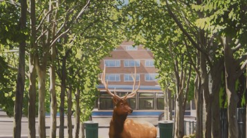 Park Elk by Leslie Dixon