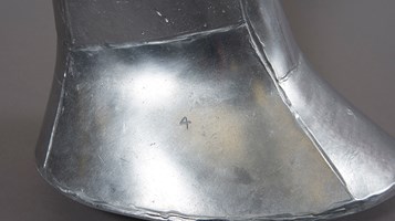 Metabone by Francis Fox