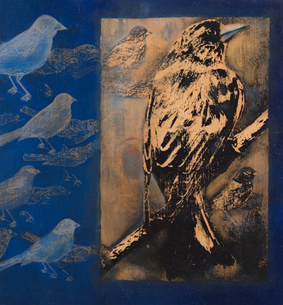 Natural Histories 8 by Kirsten Furlong