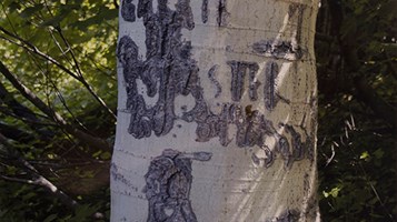 Basque Series 8 by Kirk Keogh