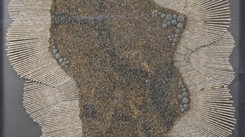 Boise is Growing by Larinda Meinburg