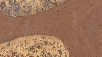 Cottenwood by Lisa Pisano