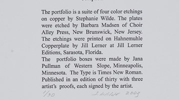 IM A 950 BUT I WANT TO BE A 1000 IMAGE 8 BY STEPHANIE WILDE