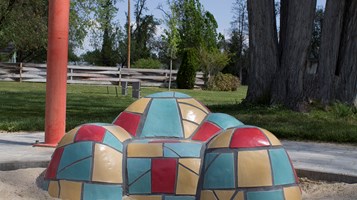 CASSIA READING CIRCLE BY FRANCIS FOX