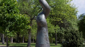 SPROUT BENCH BY FRANCIS FOX IMAGE 3