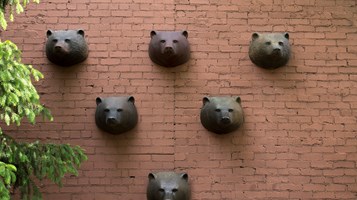 SPRING RUN BY MARILYN LYSOHIR IMAGE 1