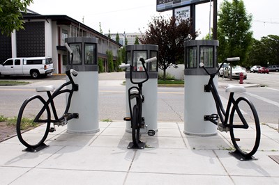 BICYCLE TRIO BY DAVID AND MICHAEL COLE IMAGE 2