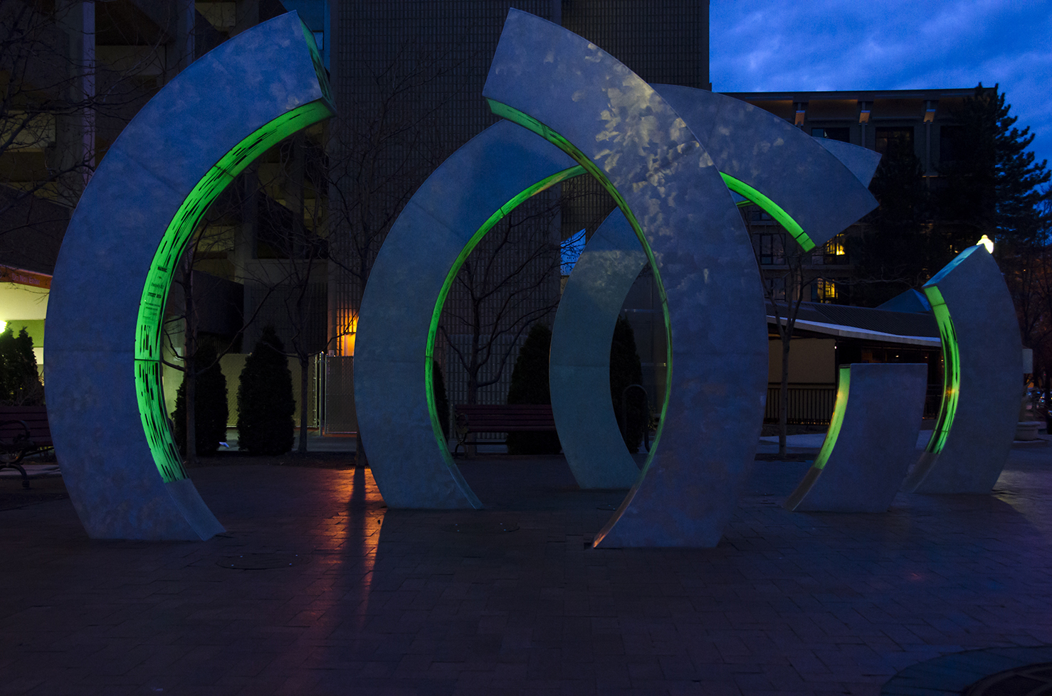 GROVER STREET ILLUMINATED BY AMY WESTOVER IMAGE 3