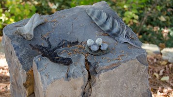 MEDICINE WHEEN BY MARIANNE KONVALINKA AND LYNN FRALEY IMAGE 1