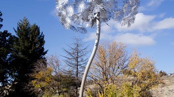 AERO AGOSERIES BY MARK BALTES IMAGE 1