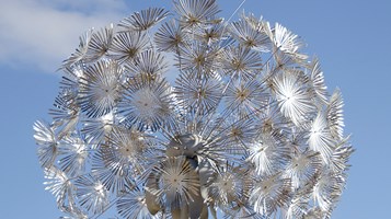 AERO AGOSERIES BY MARK BALTES IMAGE 4