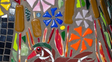 CAT'S FACE REVIVIAL BY REHAM AARTI IMAGE 1