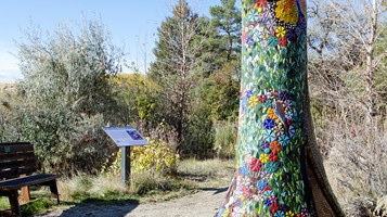 CAT'S FACE REVIVIAL BY REHAM AARTI IMAGE 2