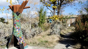 CAT'S FACE REVIVIAL BY REHAM AARTI IMAGE 3