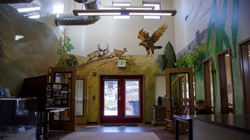 FOOTHILLS MURAL BY WARD HOPPED IMAGE 1