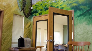 FOOTHILLS MURAL BY WARD HOPPED IMAGE 2