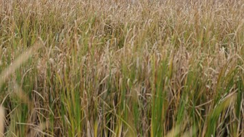 HABATAT BY MARK BALTES IMAGE 2