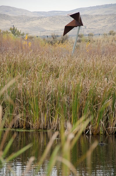HABATAT BY MARK BALTES IMAGE 2