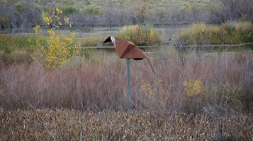 HABATAT BY MARK BALTES IMAGE 4