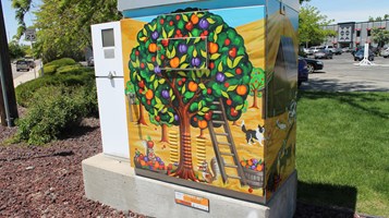 Ashford, Jacki Katz_Orchard & Kootenai