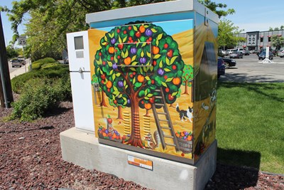 Ashford, Jacki Katz_Orchard & Kootenai