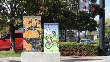 bee wise & sunflowers