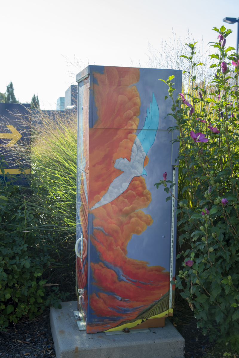 88cf84e9-c95a-4717-8cb9