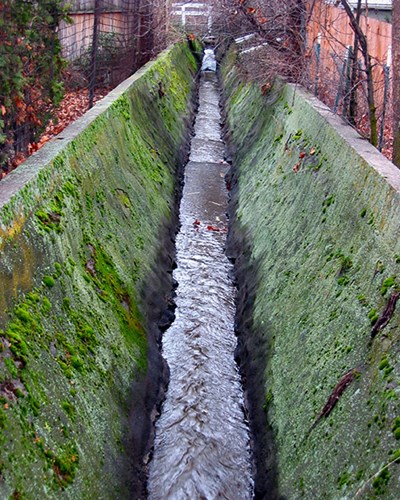 DIANE ROYNANE WATERSHED SERIES IMAGE 26
