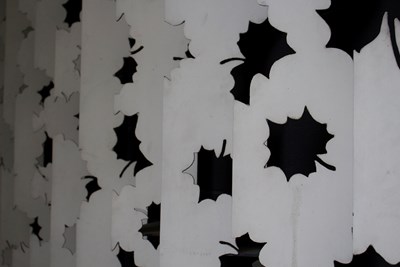 LES BOIS IMAGE 3