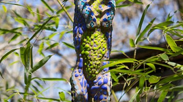 PARTY ANIMALS IMAGE 4