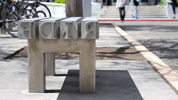 PEDALS TO PAGE IMAGE 2