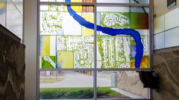 WINDOWS TO WETLANDS IMAGE 4