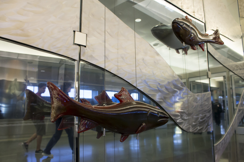 8cc64080-d85a-4fcc-94a3 (1)