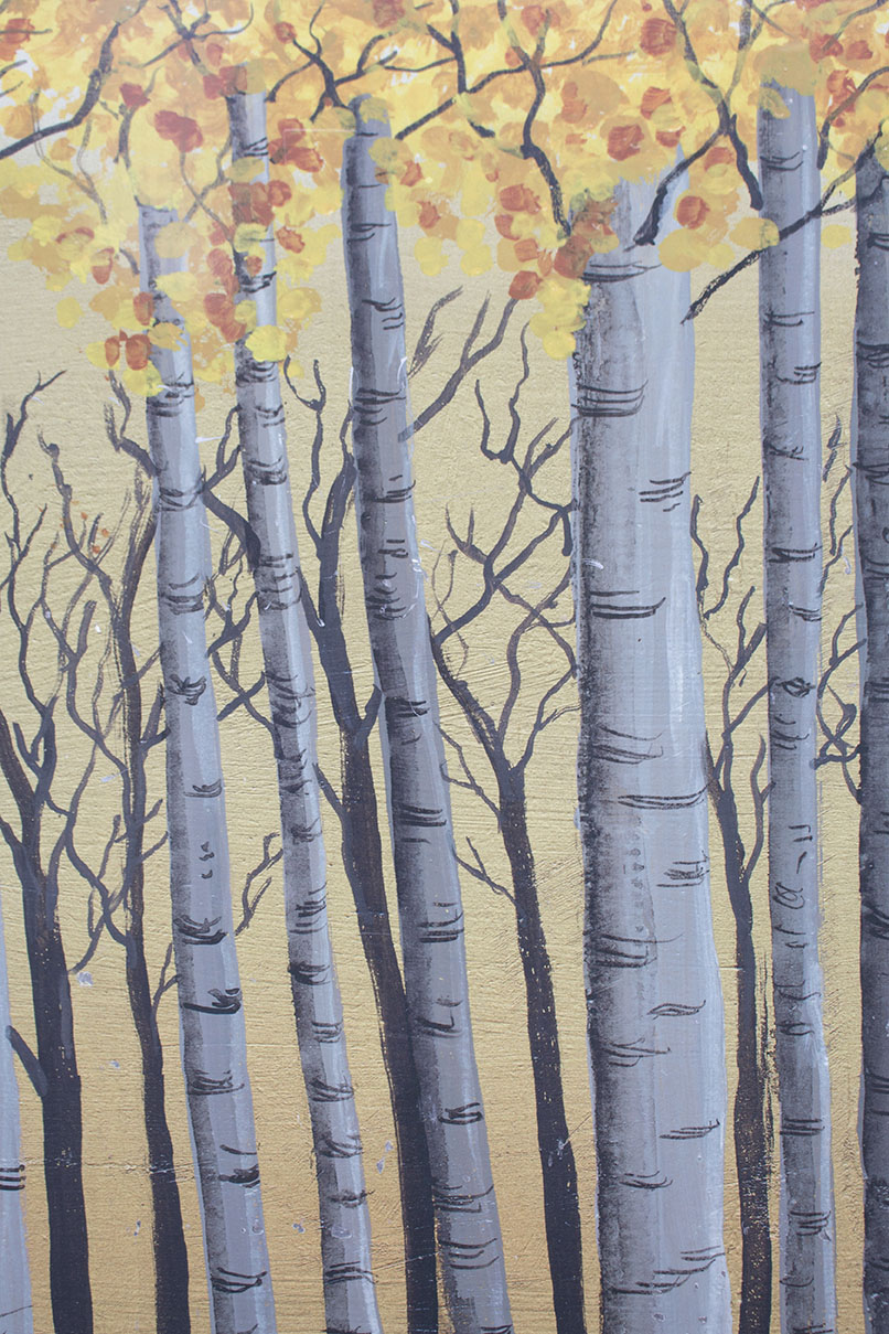 Aspen Reflections details
