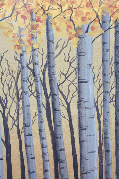 Aspen Reflections details