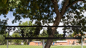 ARTFUL BOUNDARY IMAGE 21