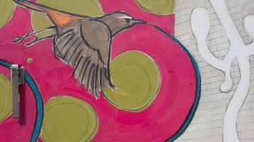 Birds Of A Different Feather