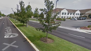 South Median Detail.jpg