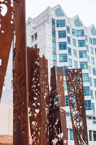 Cottonwoods by Dwaine Carver and Zachary Hill