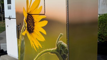 Inflorescense by Cassie Phippen