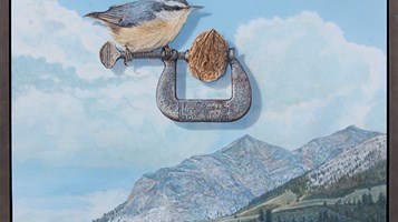 A Tough Nut to Crack by Randy Van Dyck