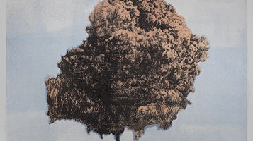 Plume II by Erika Reed