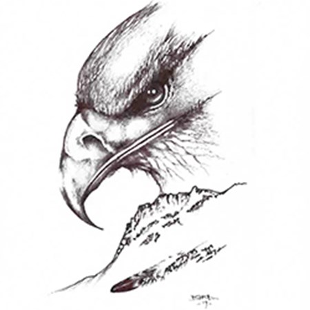ROBVP-Website-image.jpg