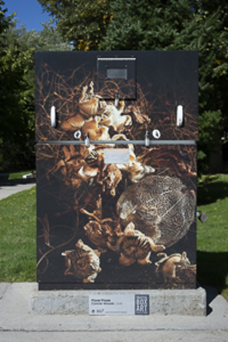 76ce27d5-89d4-4b10-8444